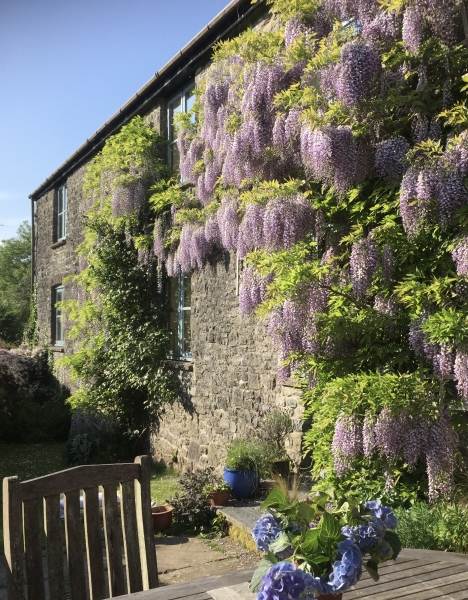 Dyffryn Mill